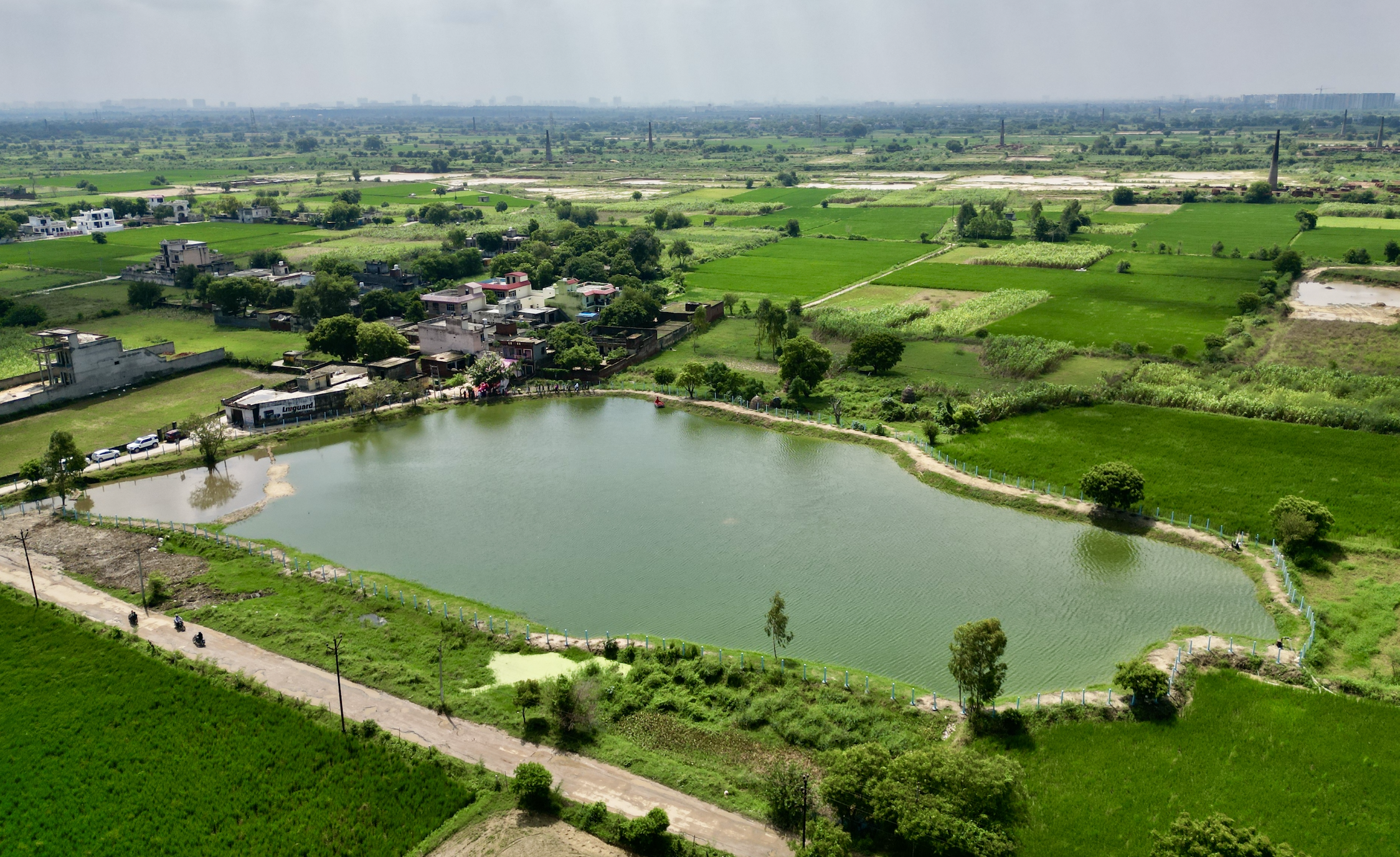 Water Ecosystem